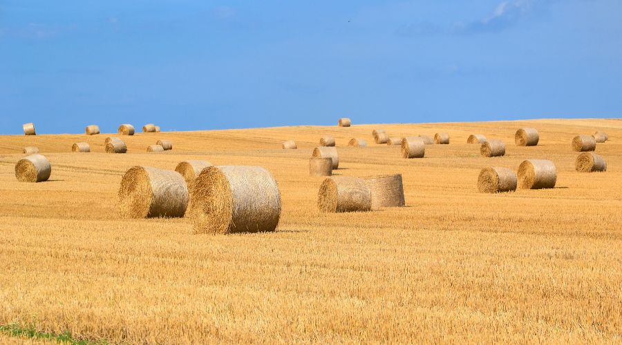 Round Bale Net Wrap vs Twine: Which Is Better?