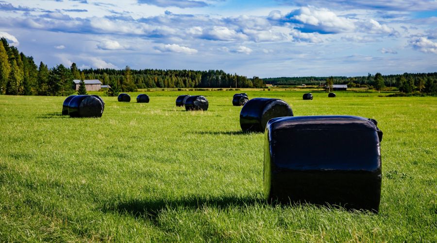 How Long Does Silage Last?